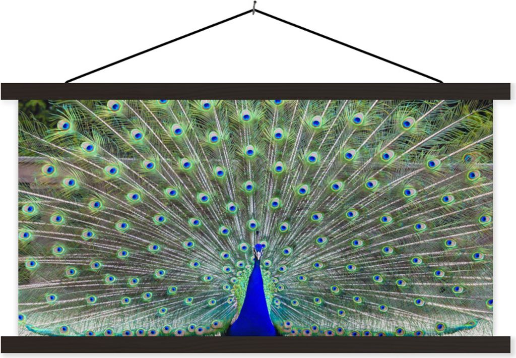MuchoWow Textilposter Pfau - Flügel - Schwanz 90x45 cm mit schwarzem Rahmen - Klemmleisten