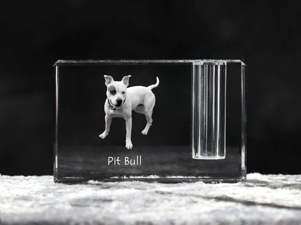 Décoration de table Pitbull, pot à crayons en cristal pour bureau
