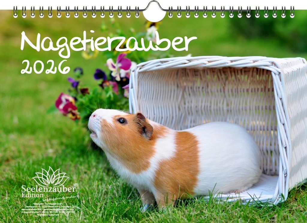 Nagetierzauber DIN A4 Kalender für 2026 Hamster Ratte Maus Chinchilla