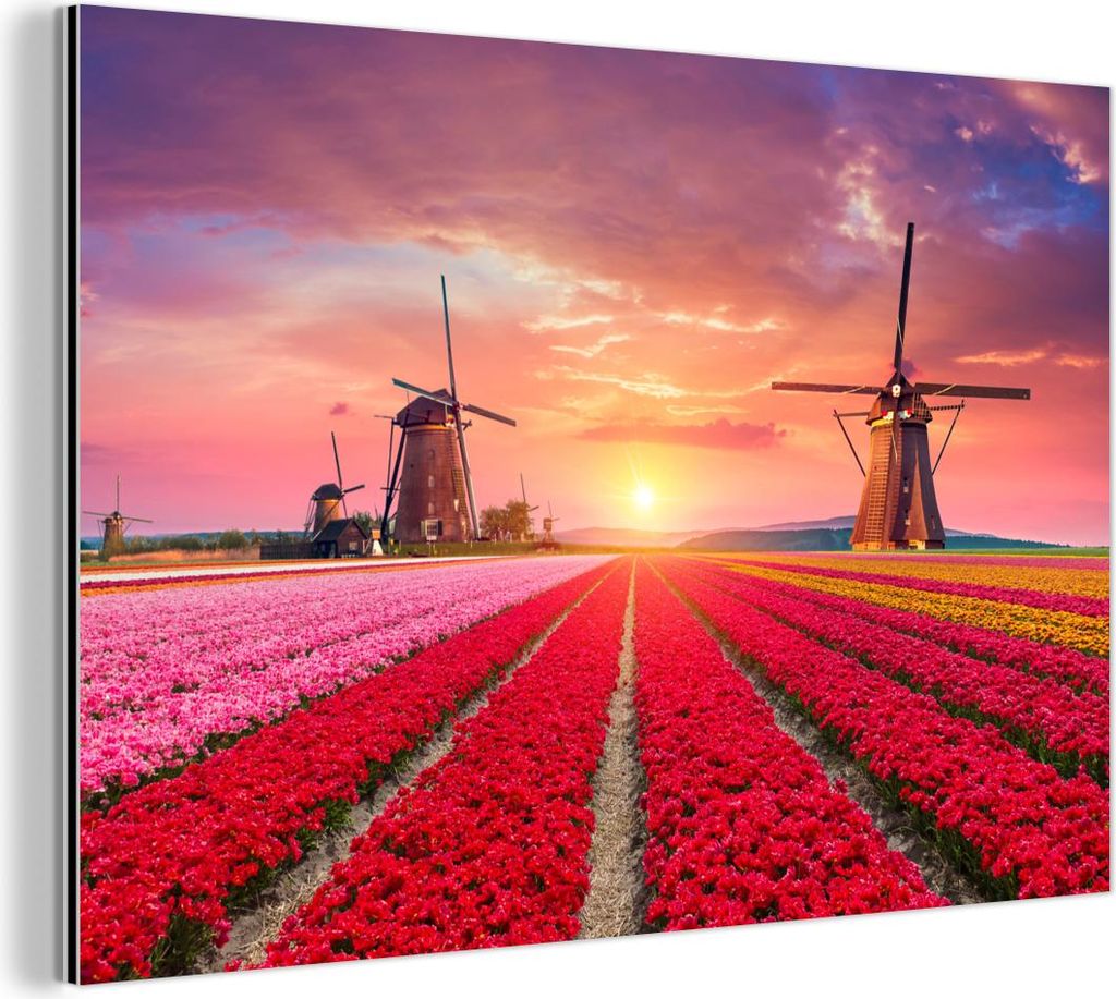 MuchoWow Wanddekoration Metall Metallbild Wandkunst 60x40 cm Blumen - Tulpen - Blumenfeld - Mühlen - Holland MuchoWow Aluminium Gemälde - Gemälder