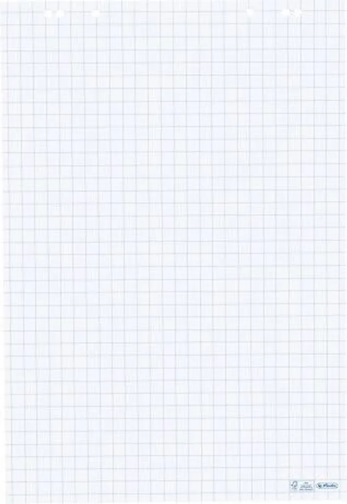 Fornitura 5 Blocchi Lavagna Herlitz 10834141 68x99cm a Quadretti