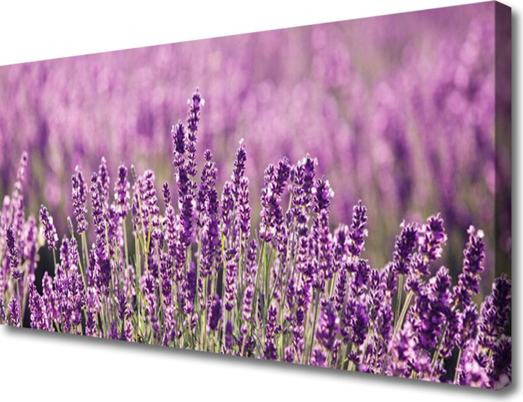 Tulup Leinwand-Bilder 100x50 Wandbild Canvas Kunstdruck Blumen Pflanzen