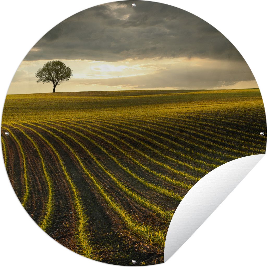 MuchoWow Gartenposter Outdoor-Poster Rund Wiese - Baum - Dunkelheit Ø 150 cm Gartendeko Rundes Poster draußen