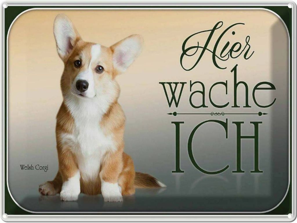 vianmo Blechschild 30x40 cm Hund Chihuahua hier wache ich