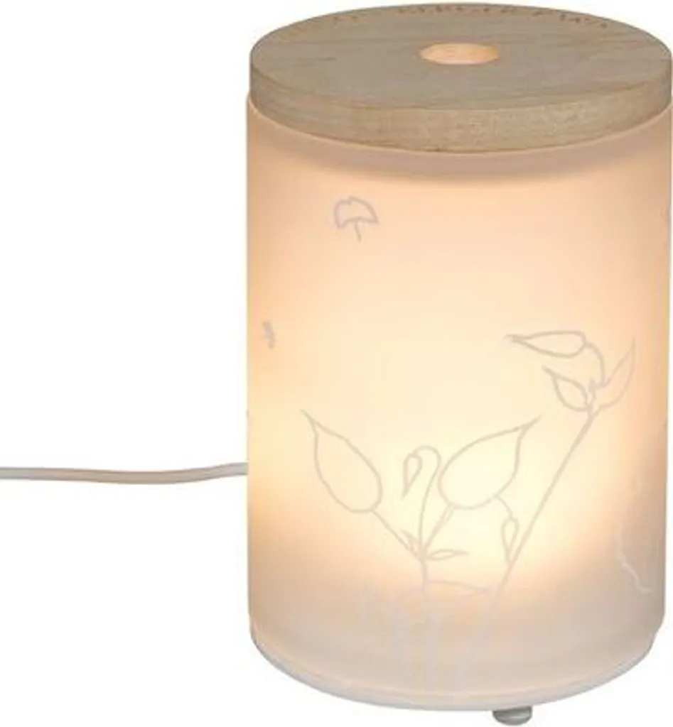 Diffuseur Aroma Relax Maison Berger Douceur Orientale avec brume fine - 5