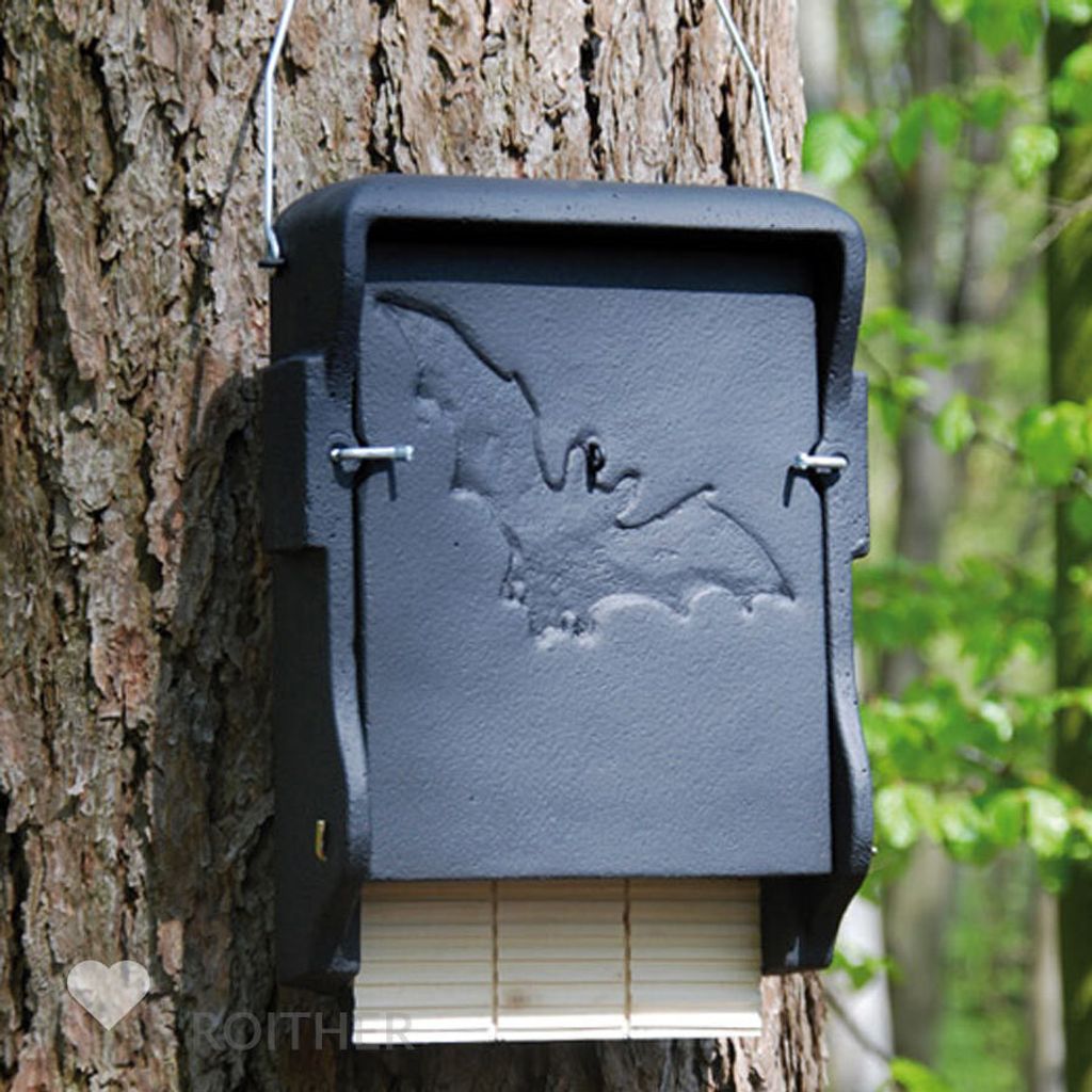 Caverne de chauve-souris en béton de bois Dimensions : Image du produit 