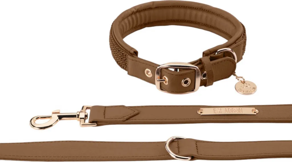 Set Eskadron Heritage 2024 Collier et Laisse M Almond cuir synthétique