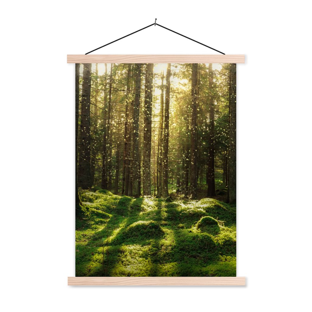 MuchoWow Textilposter Bäume - Wald - Moos - Pflanzen - Sonne - Natur 60x80 cm mit holzfarbenen Rahmen - Wandbild