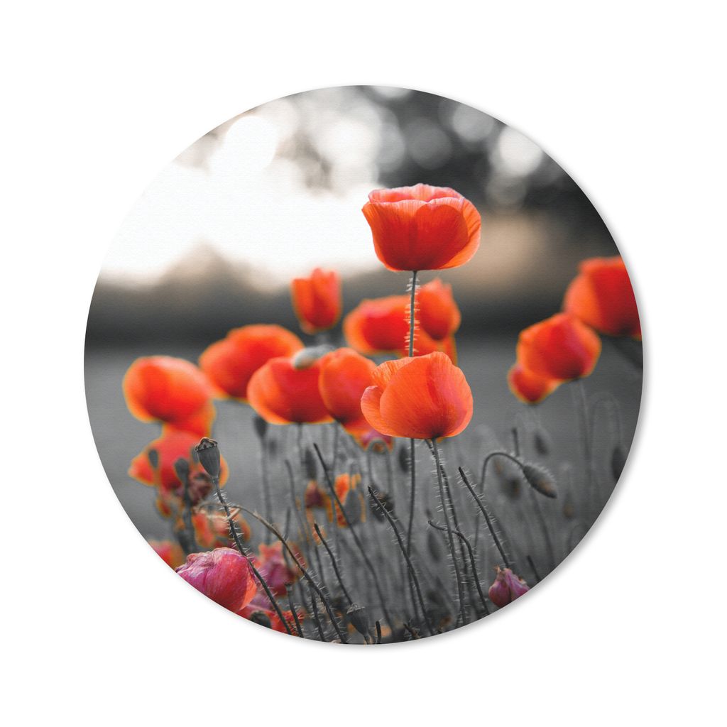 MuchoWow Mauspad Mousepad Rote Mohnblumen vor schwarzem und weißem Hintergrund 20x20 cm - Mousepads - Maus Mat - Pad - Mausunterlage - Schreibti...