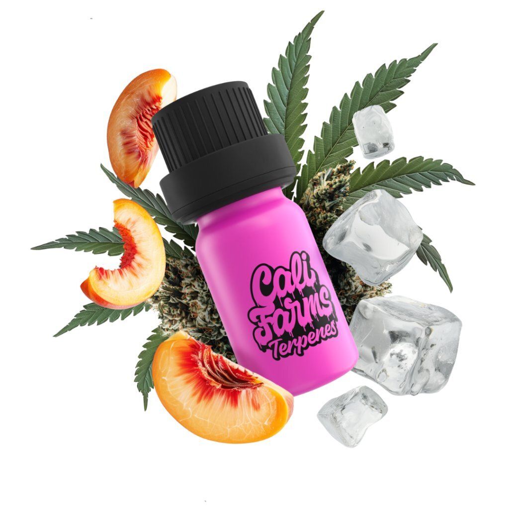 Hanf-Terpene Botanicals | TERPEN-PROFIL – Peach Ice | 5 ml Produktbild 