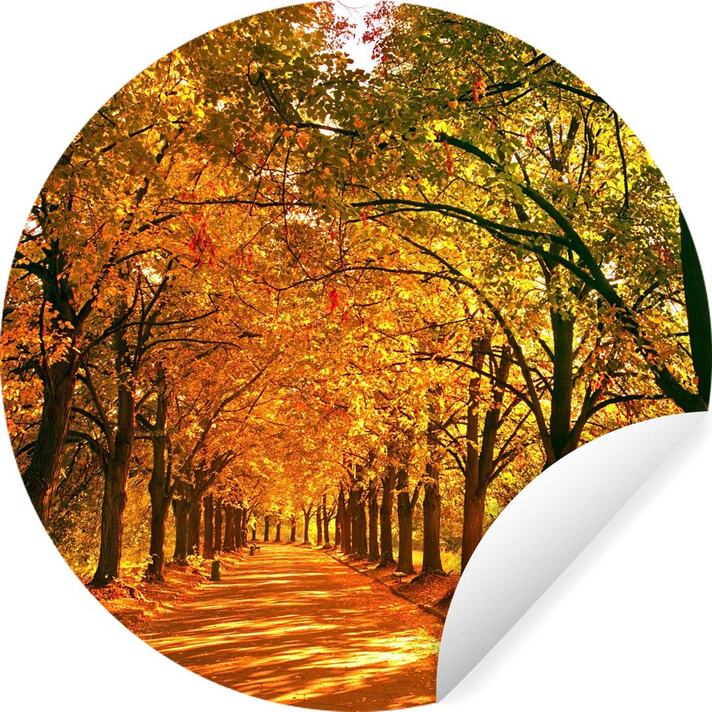 MuchoWow Runde Wandtattoo - Wandsticker Tapete Aufkleber Wald - Herbst - Jahreszeiten - Ländlich Ø 100 cm Selbstklebend und Repositionierbar - ...
