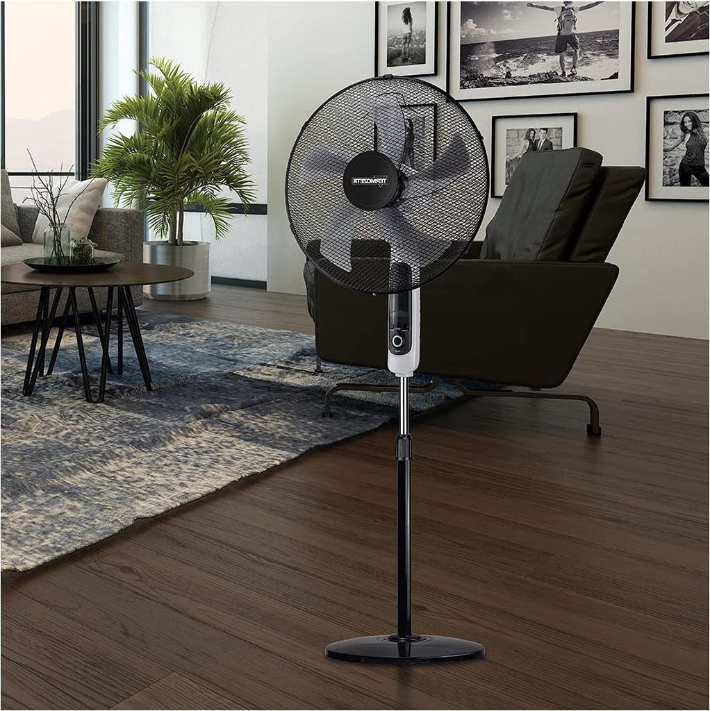 Termozeta Airzeta XL Ventilateur sur pied à 5 pales, noir, Image du produit 