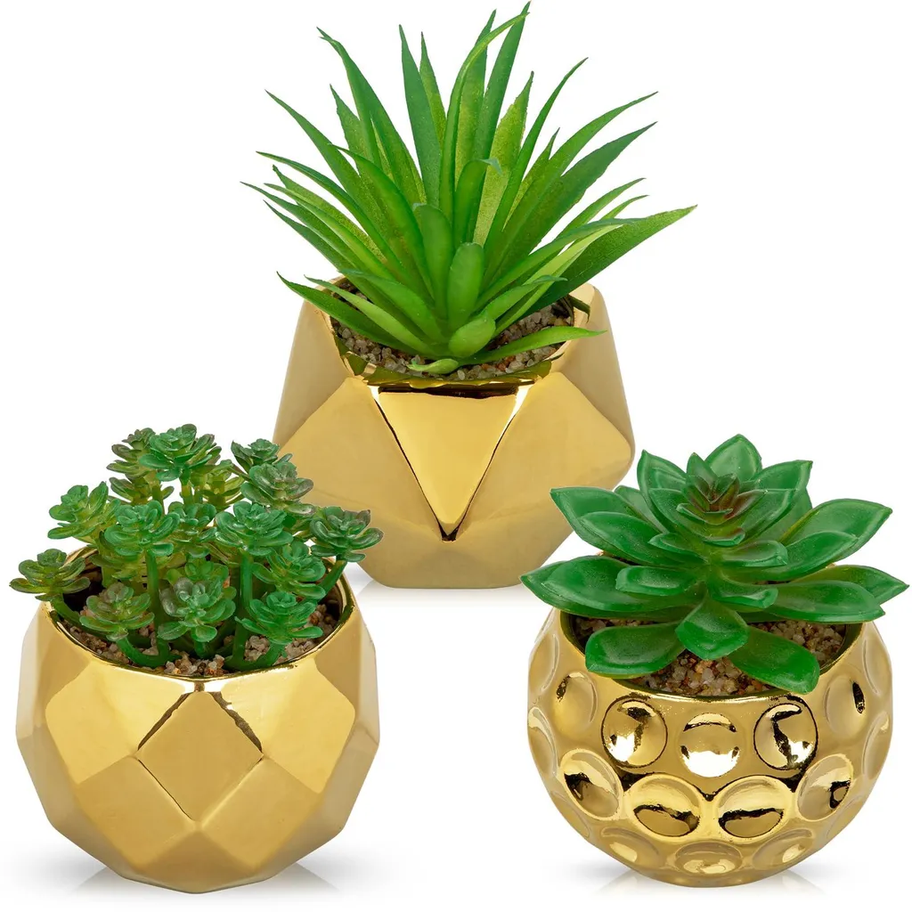 Décoration de table salon et bureau : 3 mini succulentes pots dorés