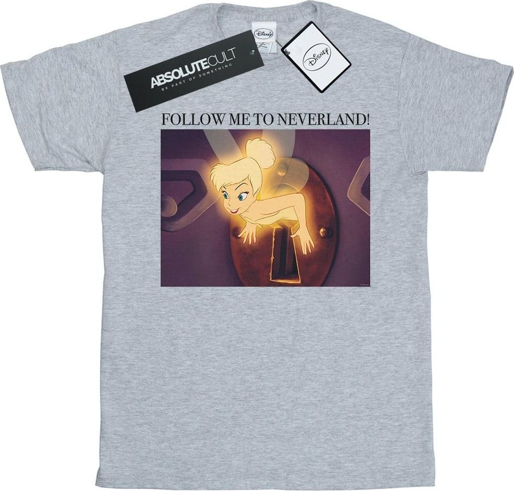 Disney - "Follow Me" T-Shirt für Herren BI47777 (XXL) (Grau)