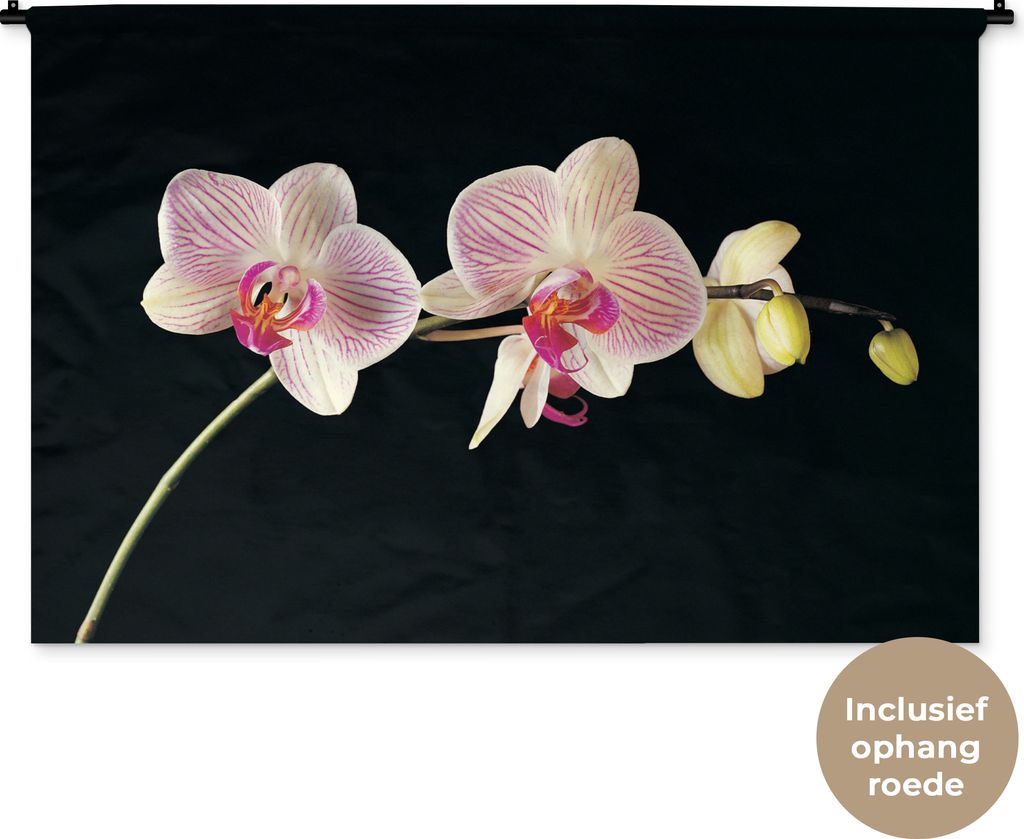 MuchoWow Wandteppich Wandbehang Orchidee - Blumen - Schwarz - Rosa - Knöpfe 150x100 cm Tapisserie Dekoration Wandtuch - Waschbar - Tapisserien -...