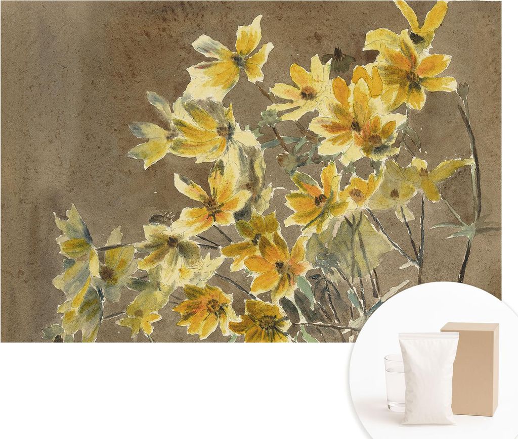 Fototapete - Wandbilder für Wohnzimmer - 152x104 cm - Dekorative Wandfolie - Modernes Design für Wanddekoration - Tapeten für Innenräume - Sonn...