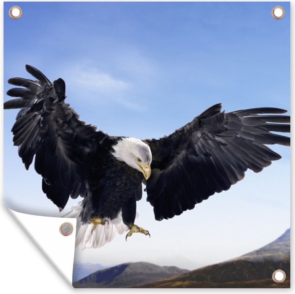 MuchoWow 100x100 cm Outdoor-Poster Gartendeko Sichtschutz Garten Poster für den Garten Ein Weißkopfseeadler will landen