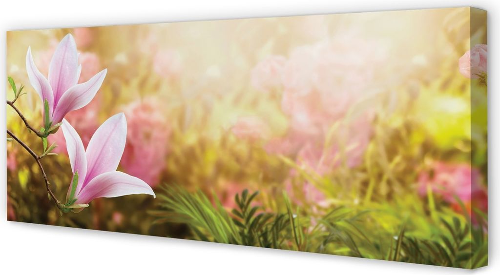 Leinwandbild 125x50 Wandkunst Magnolia Baum Sonne