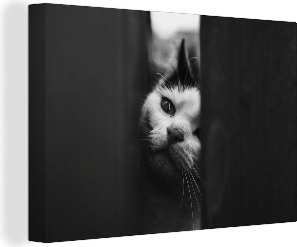 OneMillionCanvasses - Leinwandbilder - 140x90 cm, Tierprofil Spionage Katze in schwarz und weiß, Wandbilder Kunstdruck Wanddekoration