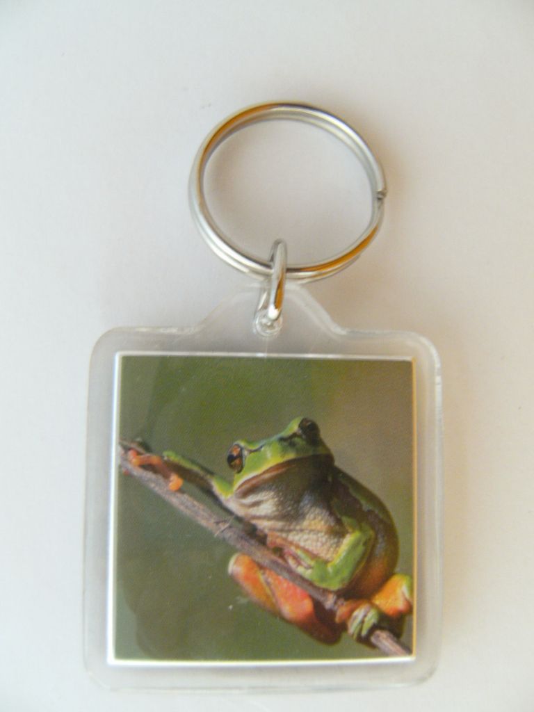 Schlüsselanhänger Frosch, Tiere Tier Schlüsselring Rucksackanhänger Frösche