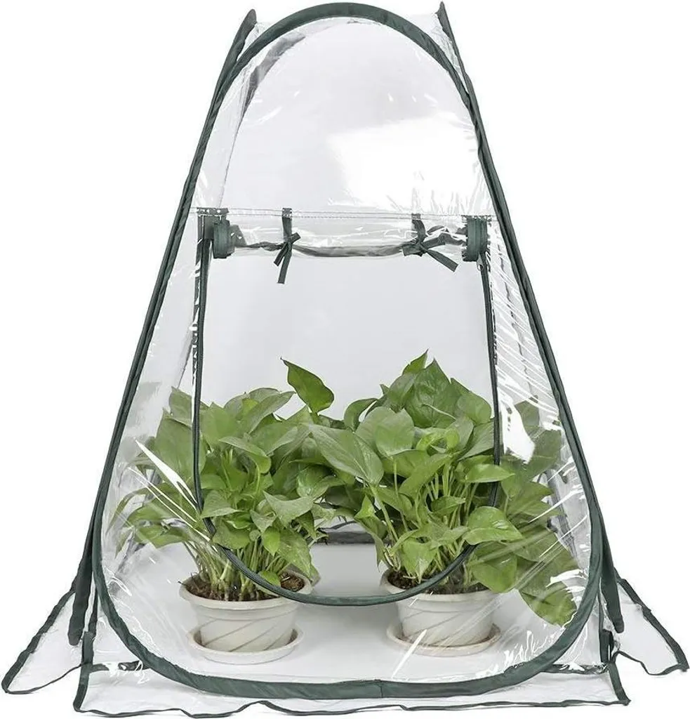 Serre de jardin transparente avec porte zippée et structure métallique