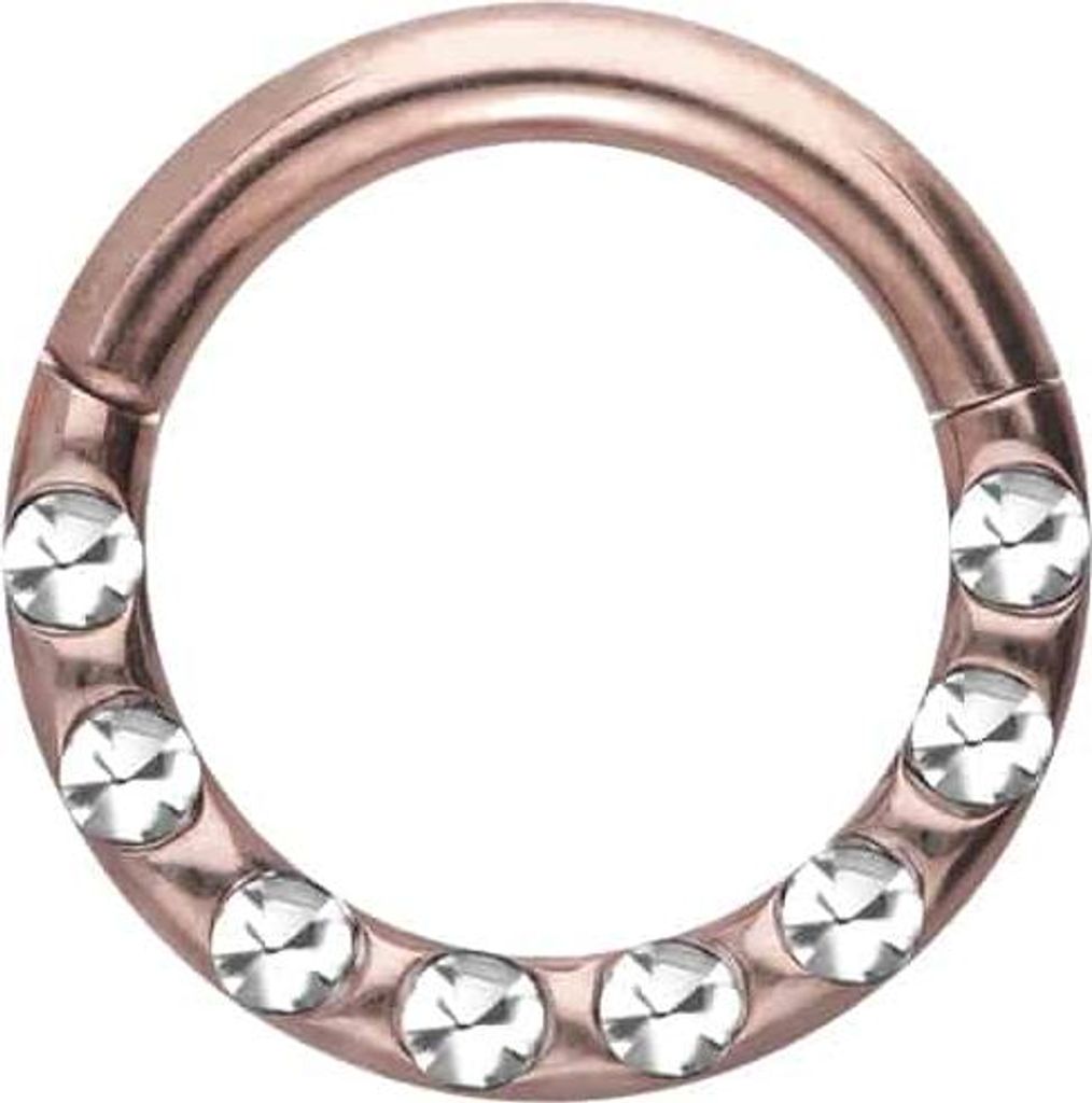 Ohrpiercing, Nasenpiercing, Septum Piercing Chirurgenstahl Segmentring Clicker KRISTALLE + EPOXY RoséGold Innendurchmesser: 6 mm