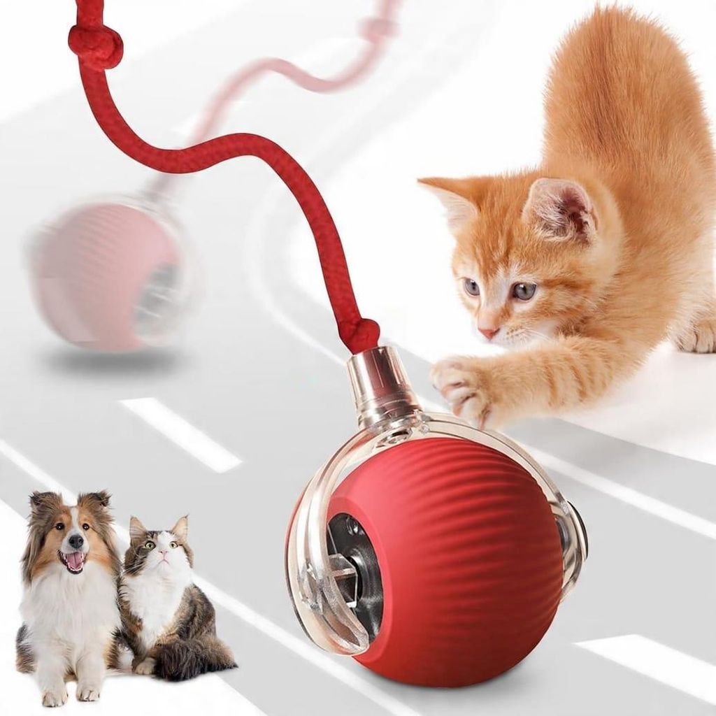 Interaktiver Spielball für Katzen und kleine Hunde, Produktbild 