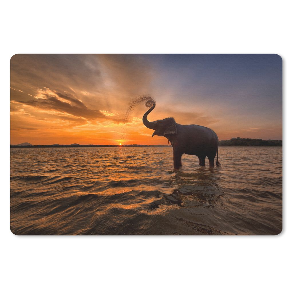 MuchoWow Schreibtischunterlage Elefant - Meer - Tiere - Sonnenuntergang - Orange 60x40 cm - XXL Mauspad - Großes Mauspad