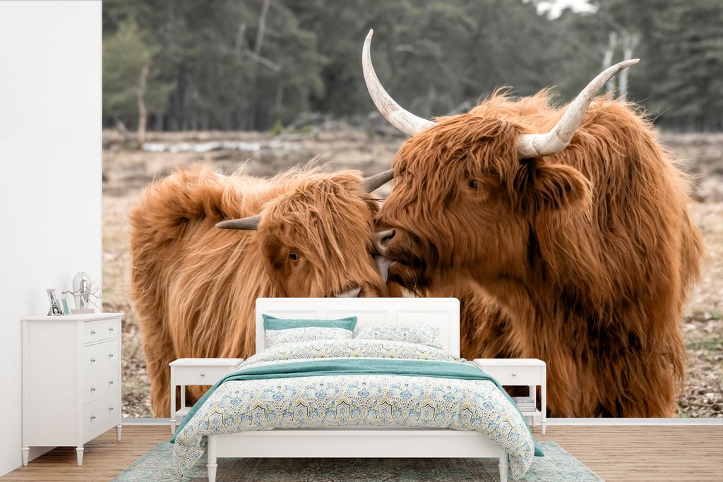 MuchoWow Fototapete für Wohnzimmer oder Schlafzimmer Wandtapete Vinyl Motivtapete Schottischer Highlander - Tiere - Wald - 330x220 cm - Fototapeten