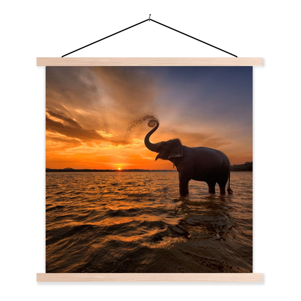 MuchoWow Textilposter Elefant - Meer - Tiere - Sonnenuntergang - Orange 40x40 cm mit holzfarbenen Rahmen - Posterleiste