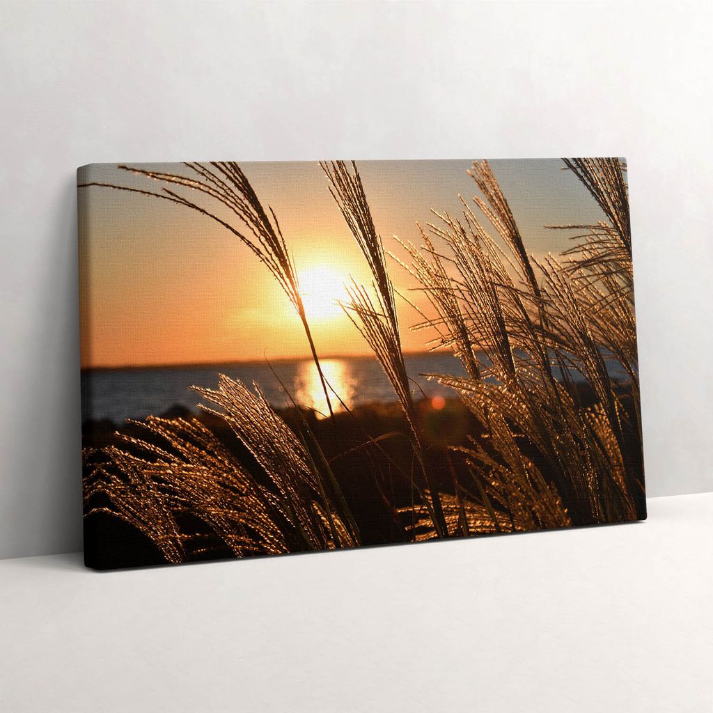 Weizen in der Goldenen Stunde – Leinwandbild Wandbild – 30x20 cm – Leinwandbilder – Wandbilder – Schlafzimmer – Flur