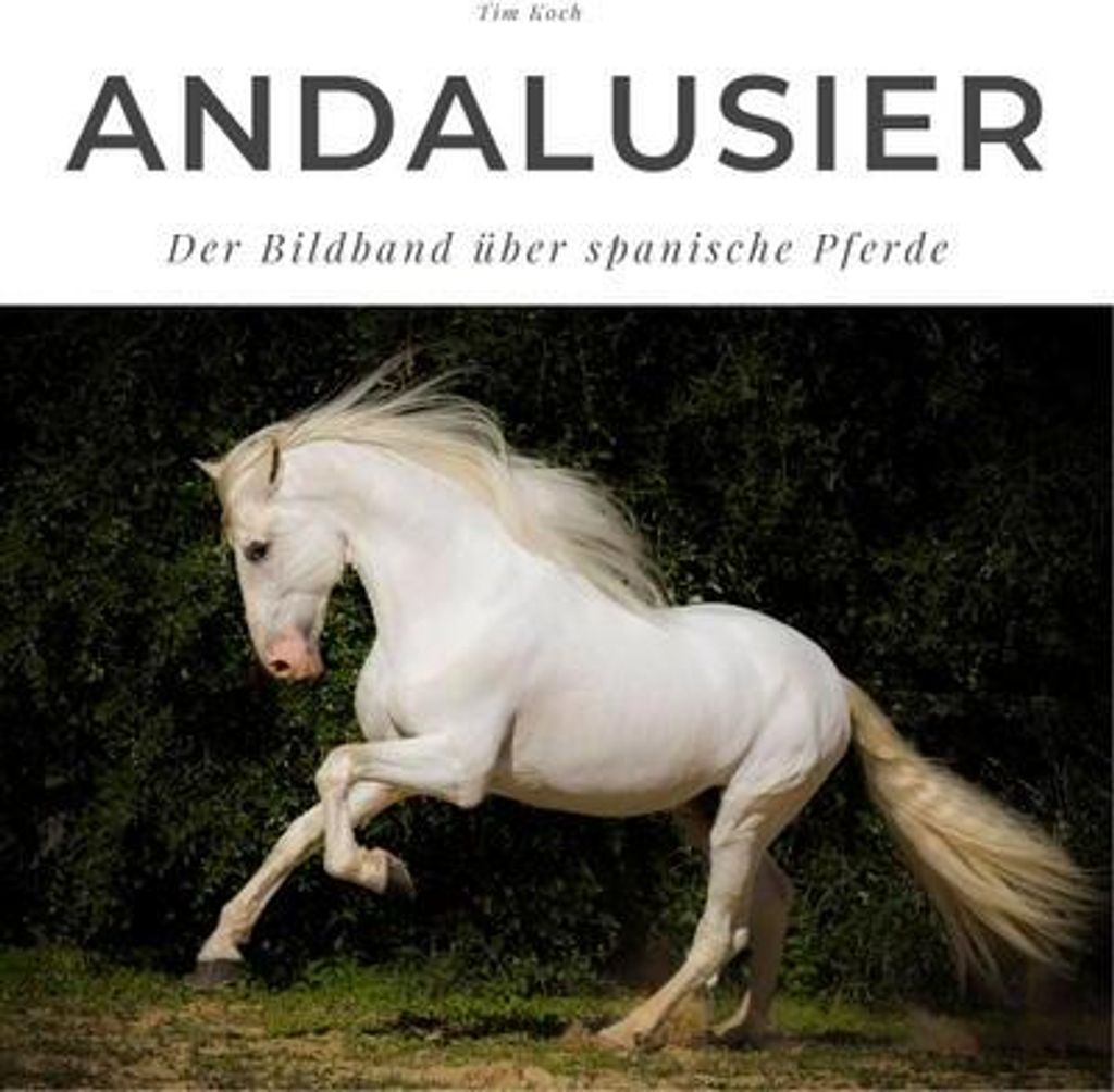 Andalusier