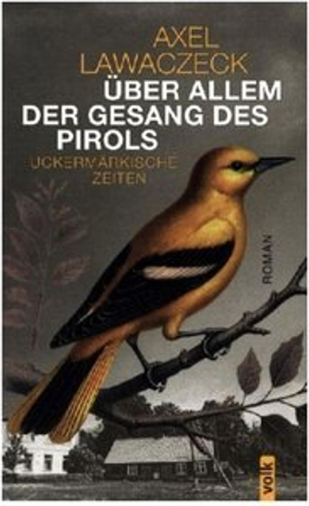 Über allem der Gesang des Pirols