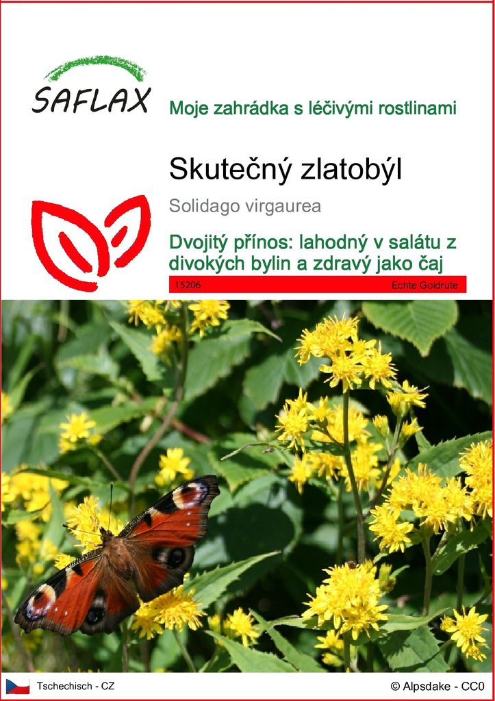 SAFLAX - Skutečný zlatobýl - Solidago virgaurea - 100 Obrázek produktu 