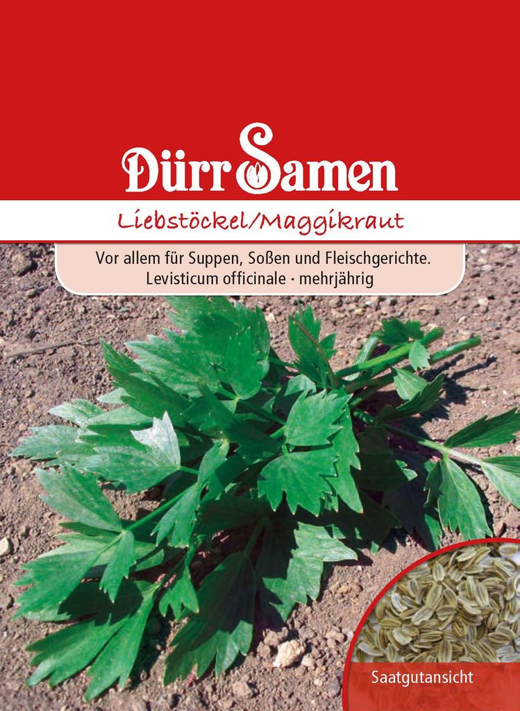 Dürr-Samen - Liebstöckel Maggiekraut - Saatgut - 0182 Produktbild 