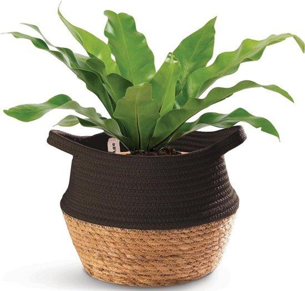 Seegras-Korb 25cm schwarz Baumwolle