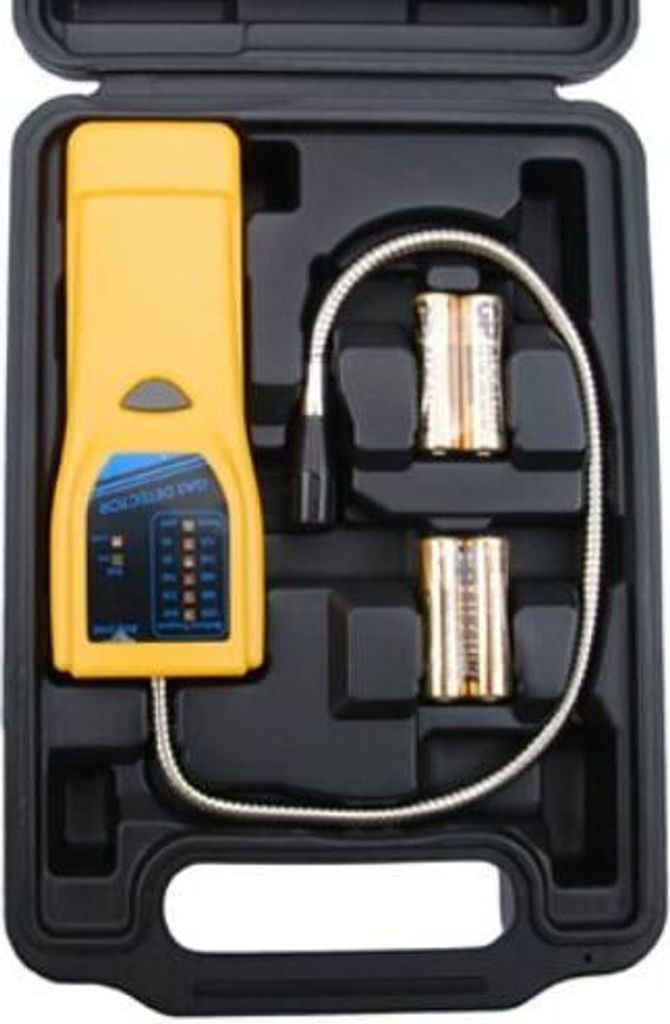 BGS 2198 Gasdetektor