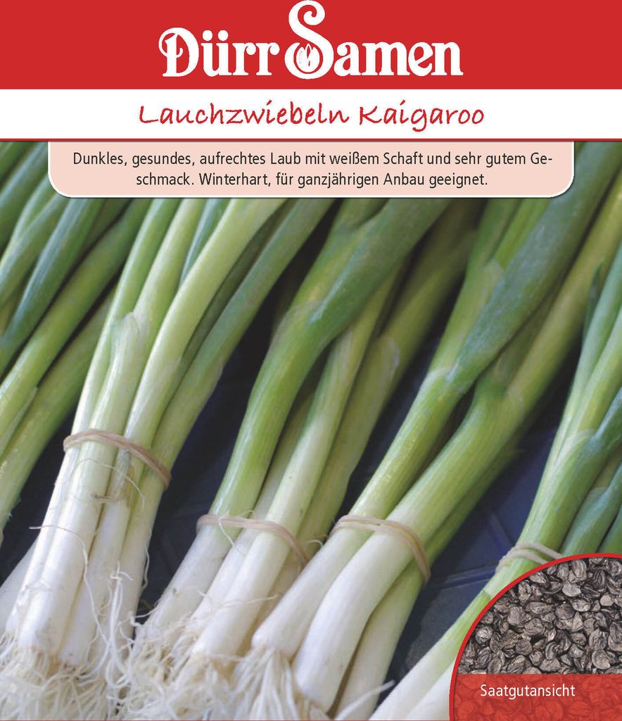 Lauchzwiebel winterhart | Lauchzwiebelnsamen von Dürr Samen Produktbild 