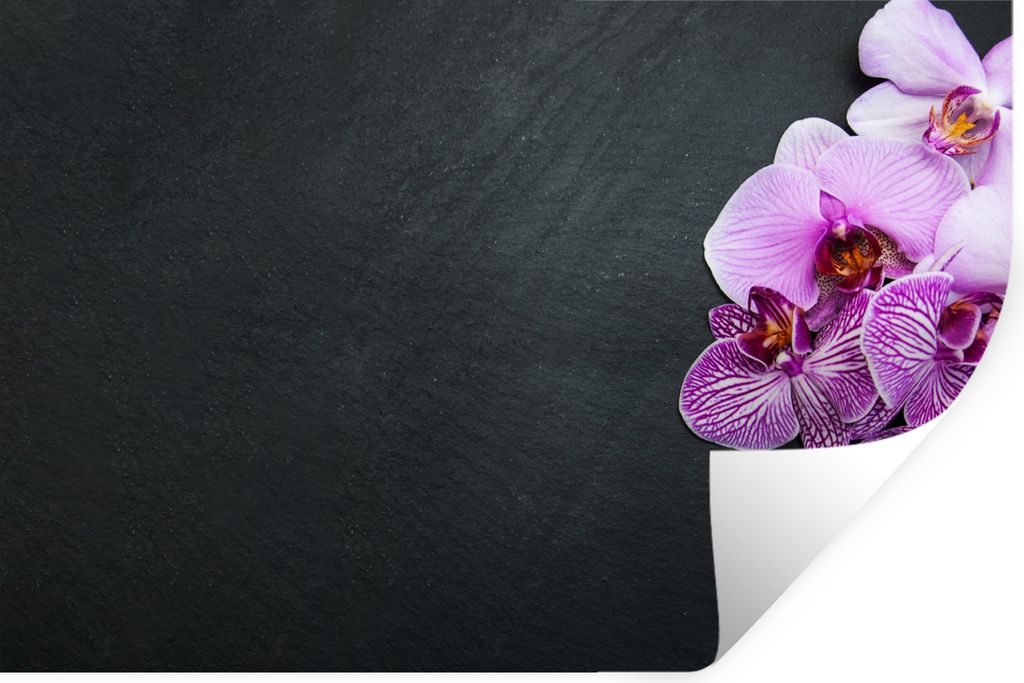 MuchoWow Wandtattoo Wandsticker Wandaufkleber Orchidee - Blumen - Rosa - Flora 30x20 cm Selbstklebend und Repositionierbar - Wierderverwendbar - ...