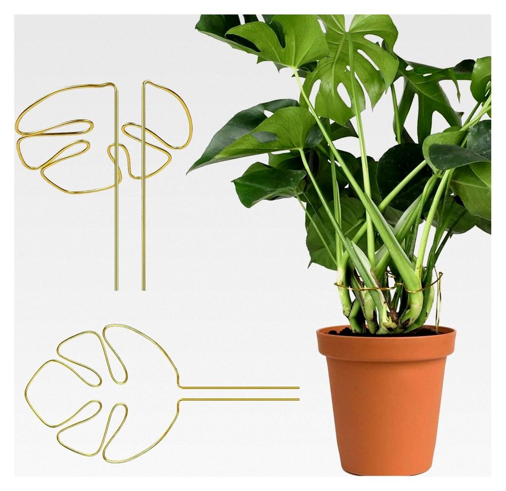 2 Stück Aluminium Pflanzenstütze, Monstera Rankhilfe