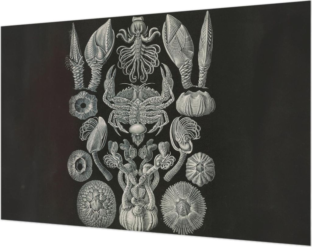 Wandtapete - Dekorative Tapete für Wohnzimmer- Tapetenfolie für Wanddekoration - 104x70 cm - Unterwasserformen