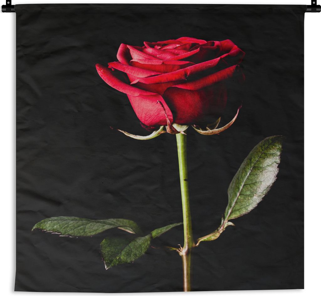 MuchoWow Wandteppich Wandbehang Eine rote Rose auf schwarzem Hintergrund 60x60 cm Tapisserie Dekoration Wandtuch - Dekorationen - Wand Decke