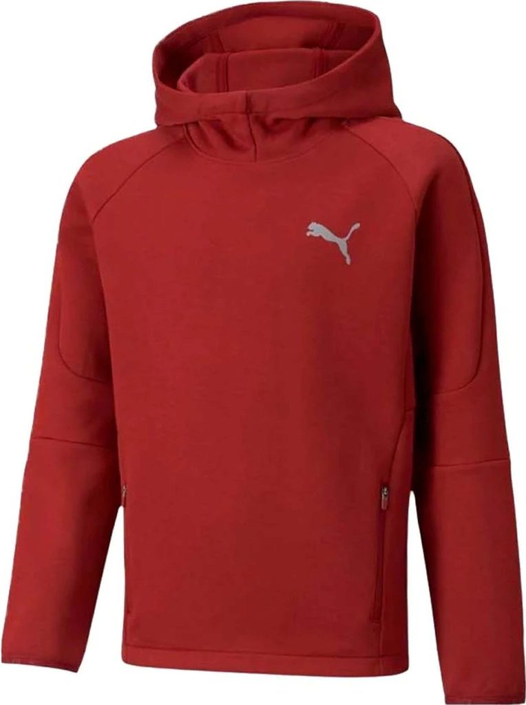 Hoodie Puma 589195_22 für Jungen