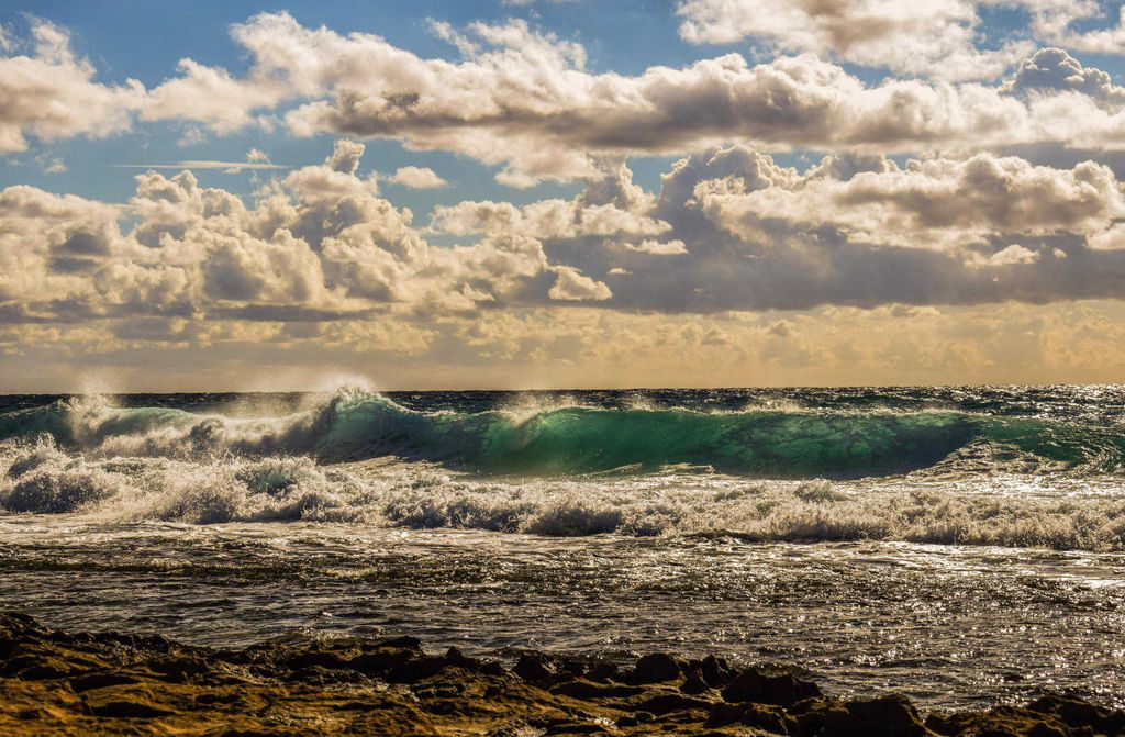 hansepuzzle 26022 - Welle Puzzle, 500 Teile, Natur, 46,0 x 30,0cm mit hochwertiger Aufbewahrung, Kartonbox und wiederverschließbarem Beutel