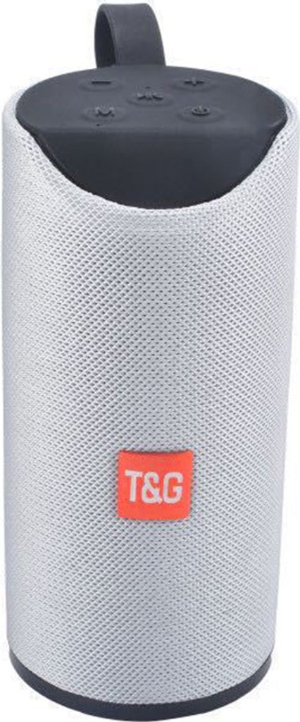 Hopestar TG113 10W Lautsprecher Bluetooth Tragbarer drahtloser Lautsprecher FM Radio Musik Stereo Subwoofer, Farbe: Sliver