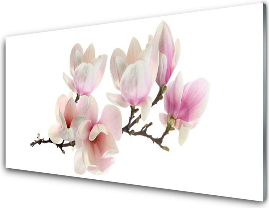 Acrylglasbilder 100x50 Wandbild Druck Blumen Pflanzen