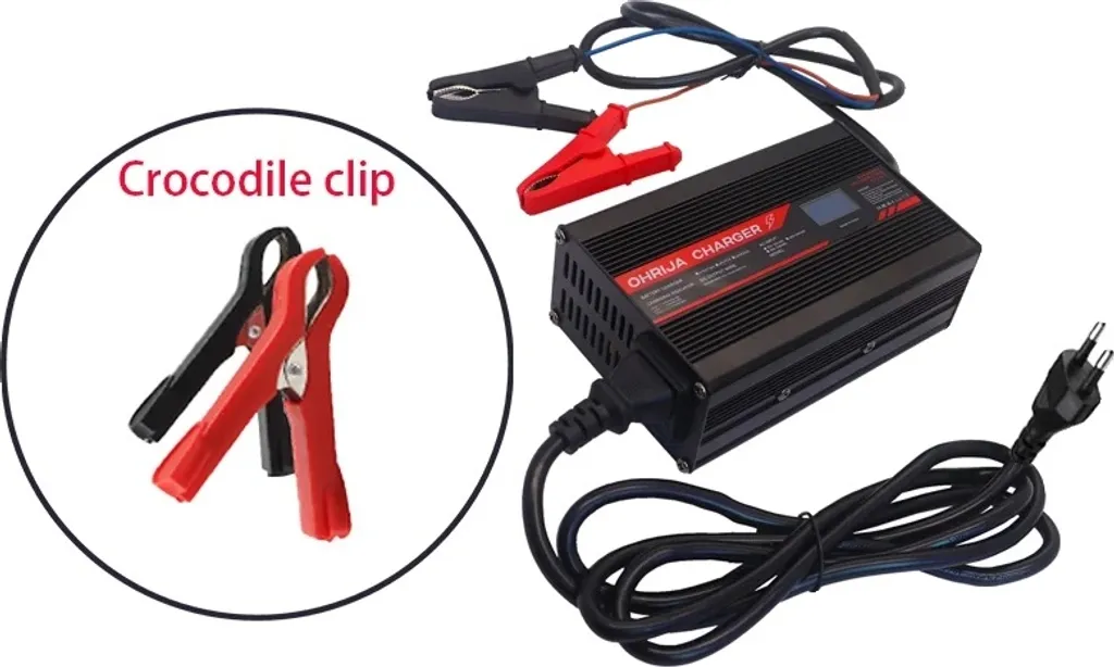 Chargeur Rapide LiFePO4 10A - Sortie 29,2V Haute Précision - Clips EU