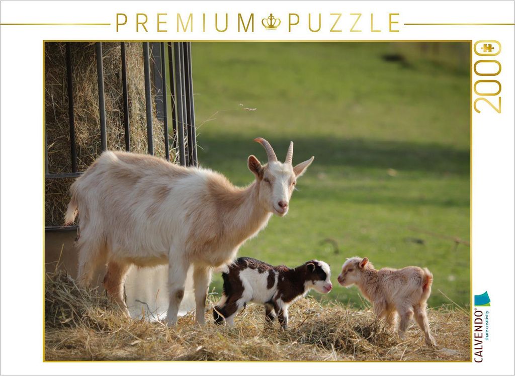 CALVENDO Puzzle Ziege mit zwei Lämmern 2000 Teile Puzzle quer | 2000 Teile Lege-Größe 90x67cm Foto-Puzzle für glückliche Stunden