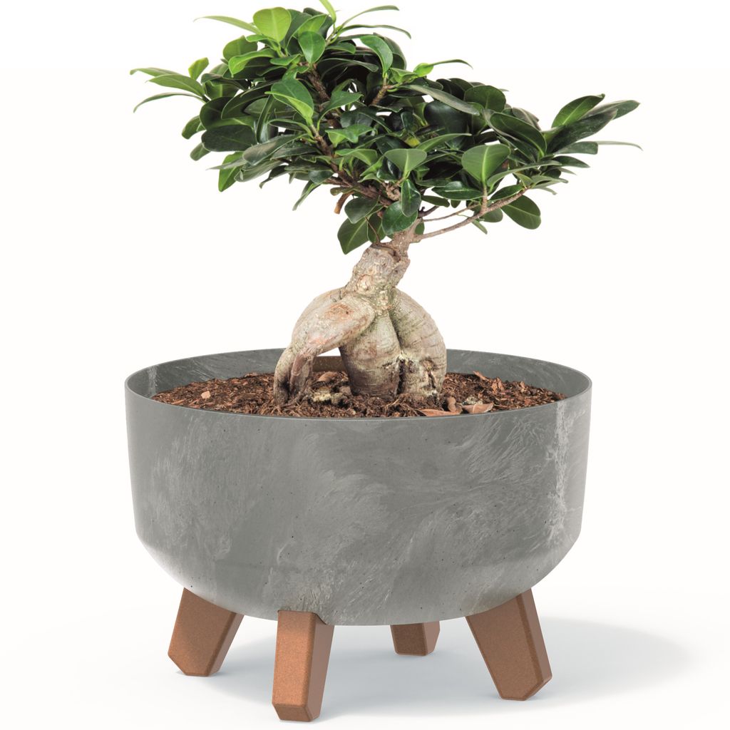 bonsai tattoo meaning Twisted Bonsai Tree Tattoo Design main image 0