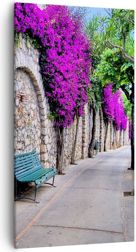 Bild auf Leinwand - Leinwandbild - Pflanzen Bank Straße Sommer - 55x100cm - Wand Bild - Wanddeko - Leinwanddruck - Bilder - Kunstdruck - Wanddekor...